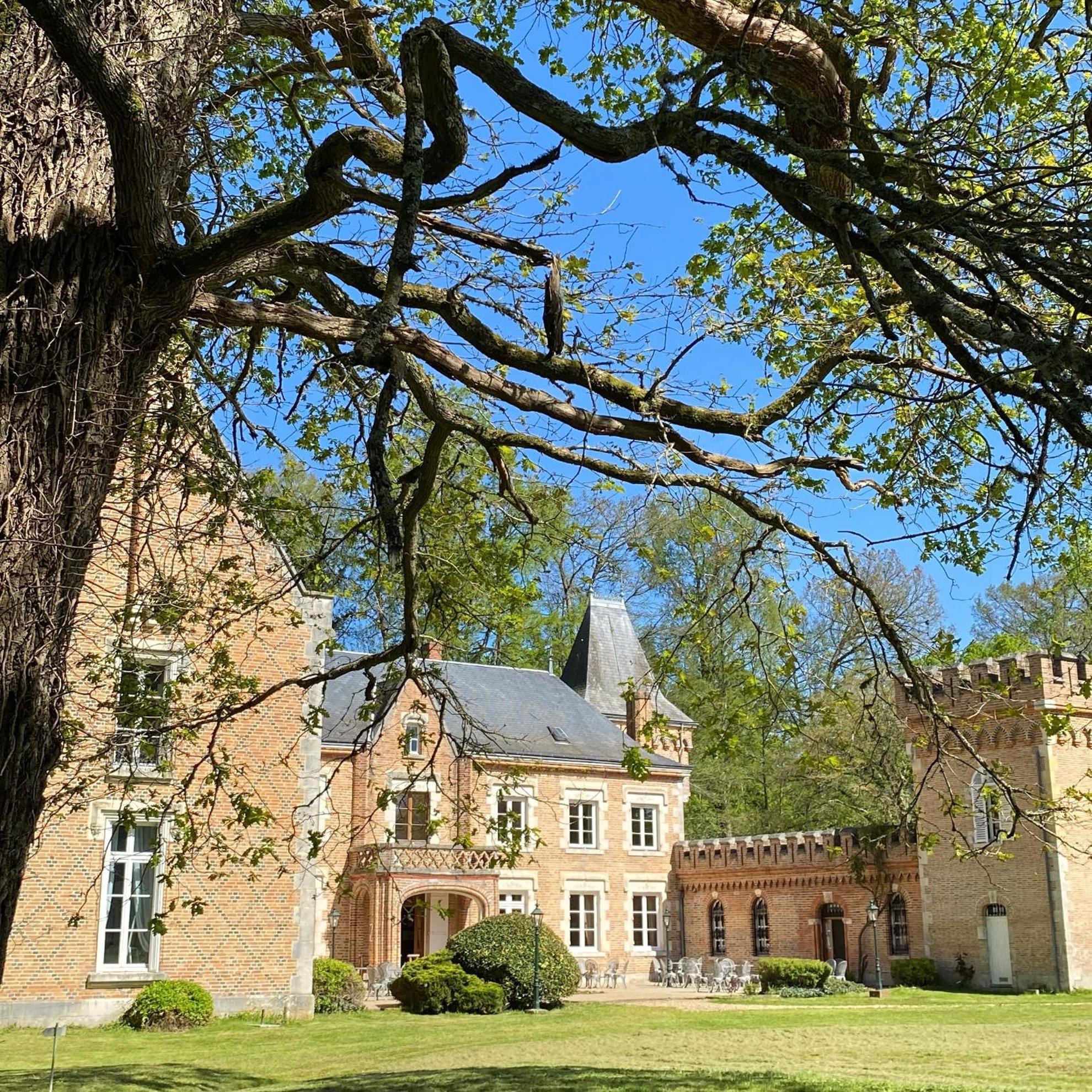 Hostellerie Du Chateau Les Muids La Ferté-Saint-Aubin Exterior foto